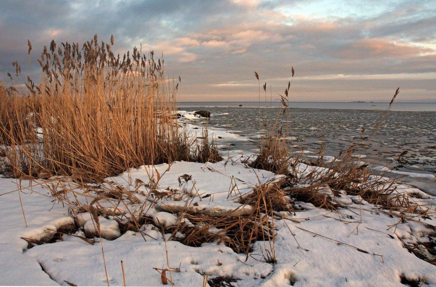 , Андрей Котов