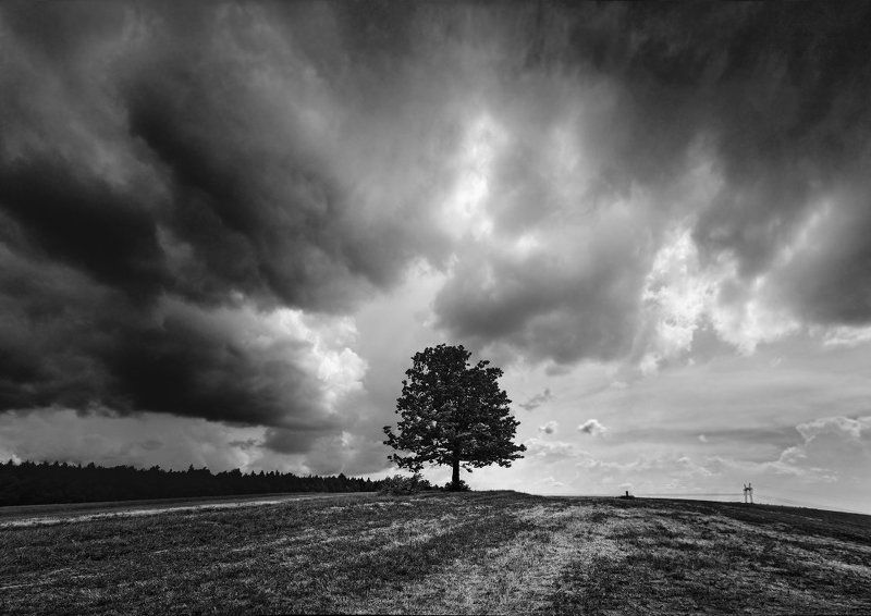 Про столбик, мачту и ветер фото превью