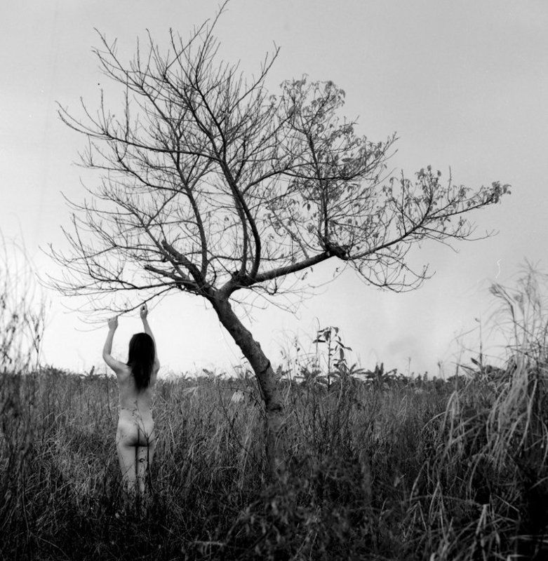 Untitled. фото превью