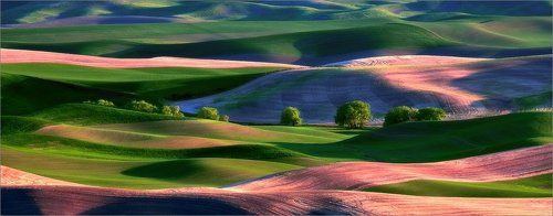 The Landscape of My Dreams