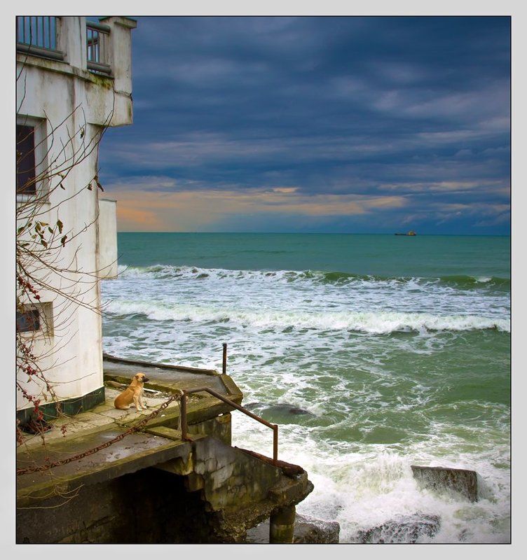 Ностальгия фото превью