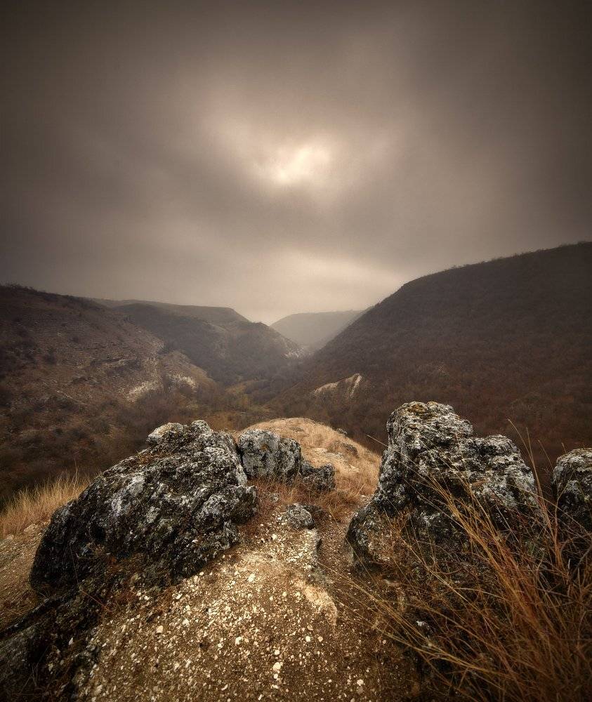 , Sergey Braga