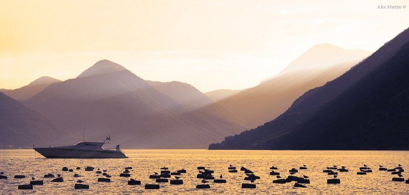 залив, боко-которский, яхта, черногория, море, свет *** фото превью