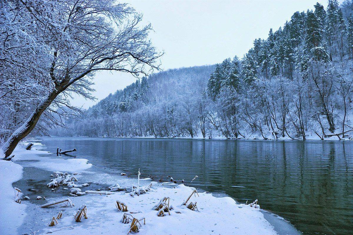 , Игорь Мелекесцев