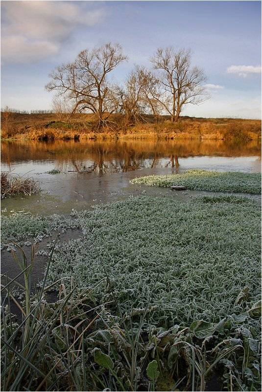река, москва, берег, заморозки, Тарасов Алексей