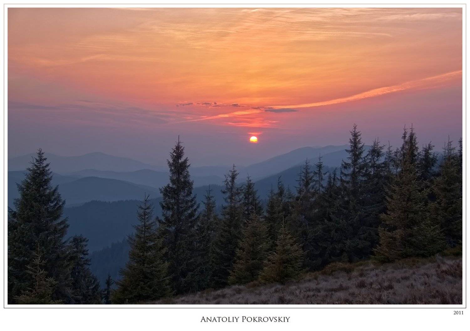 анатолий покровский, карпаты, горы, весна, горганы, ели, вечер, закат, Анатолий Покровский