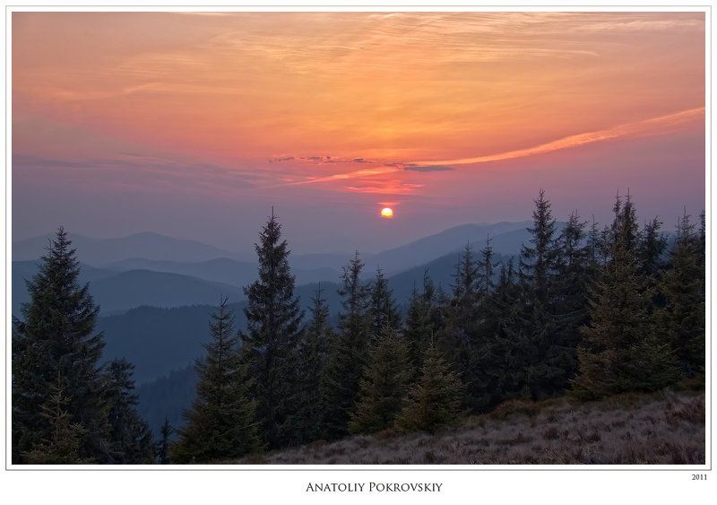 анатолий покровский, карпаты, горы, весна, горганы, ели, вечер, закат Тихий закат несколько припозднившегося солнца, заслушавшегося весенней трелью соловья фото превью