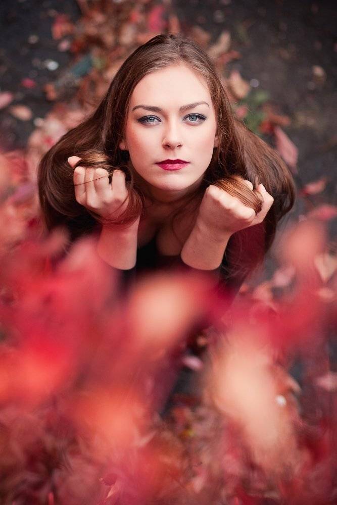 , Михалакий Дмитрий