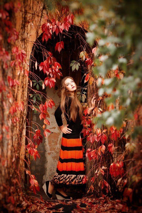 , Михалакий Дмитрий