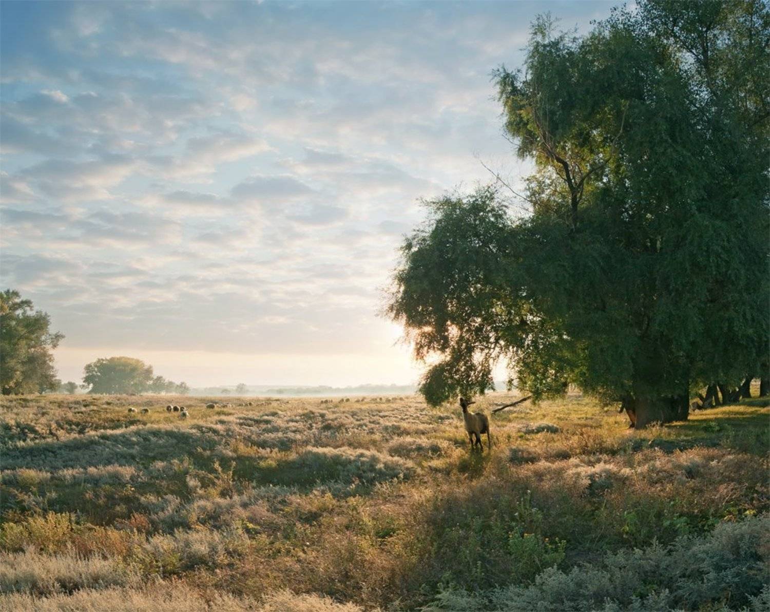 , Сергей Иванов