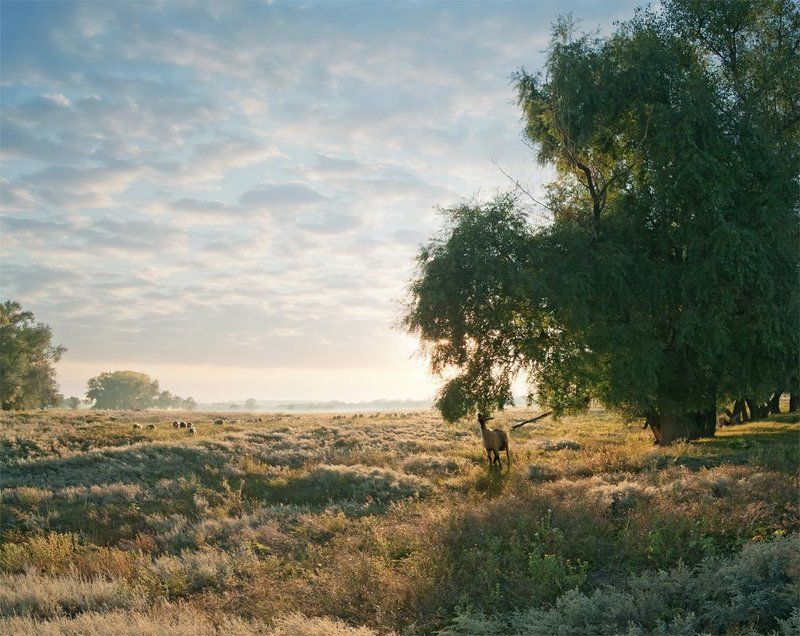 Олетевспоминательный коллаж ) фото превью