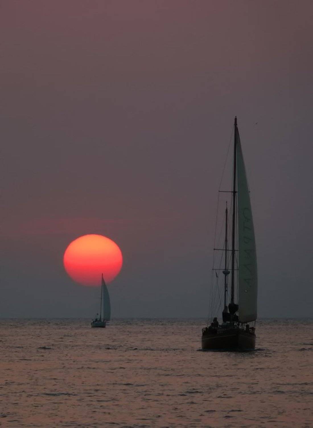 , Игорь Олейник