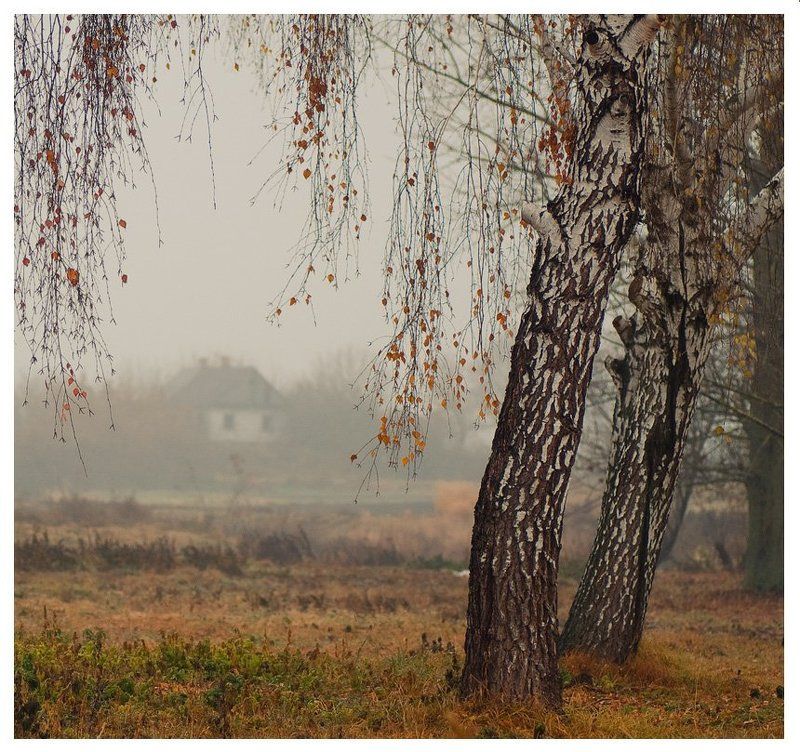 -воспоминания из детства...- фото превью