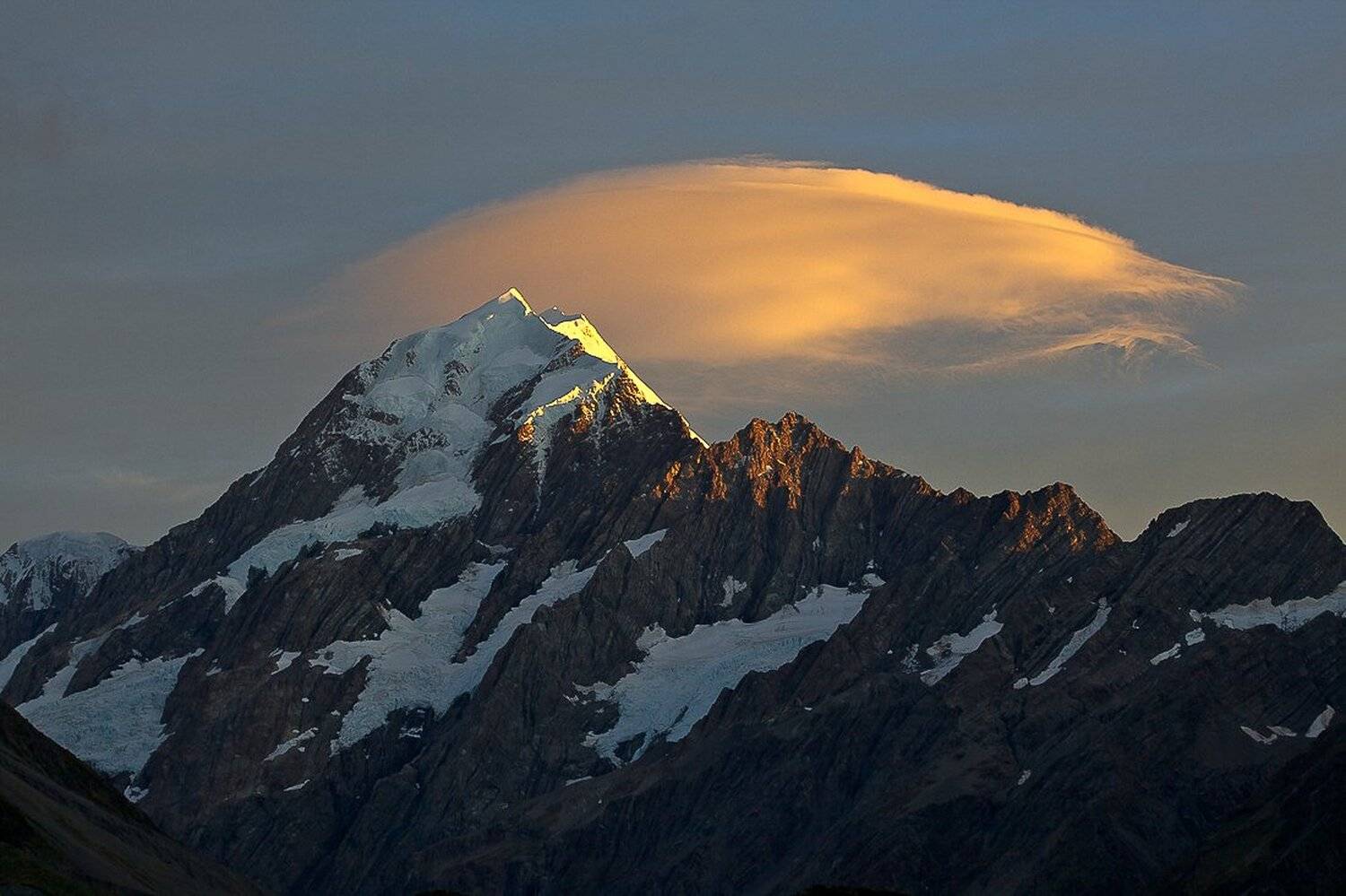 , Надежда Звягина / New Zealand