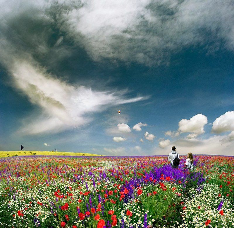 Country of Happiness фото превью