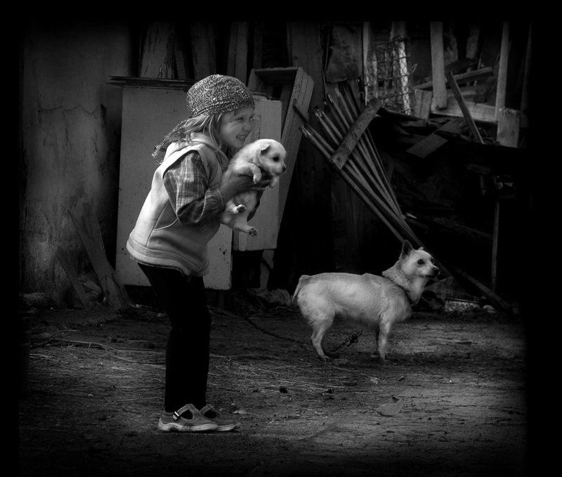 фото превью