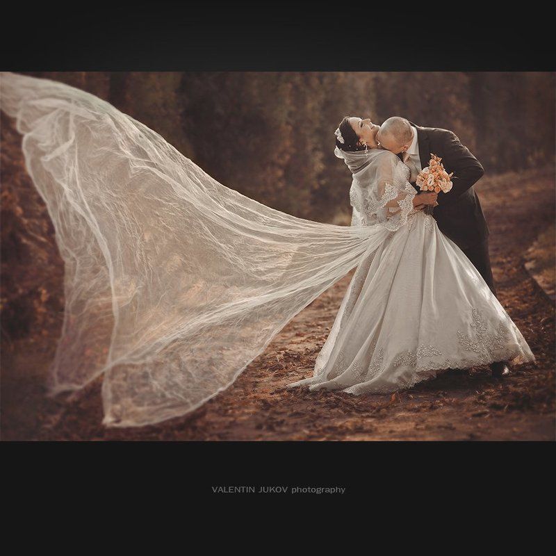 Бабочка фото превью