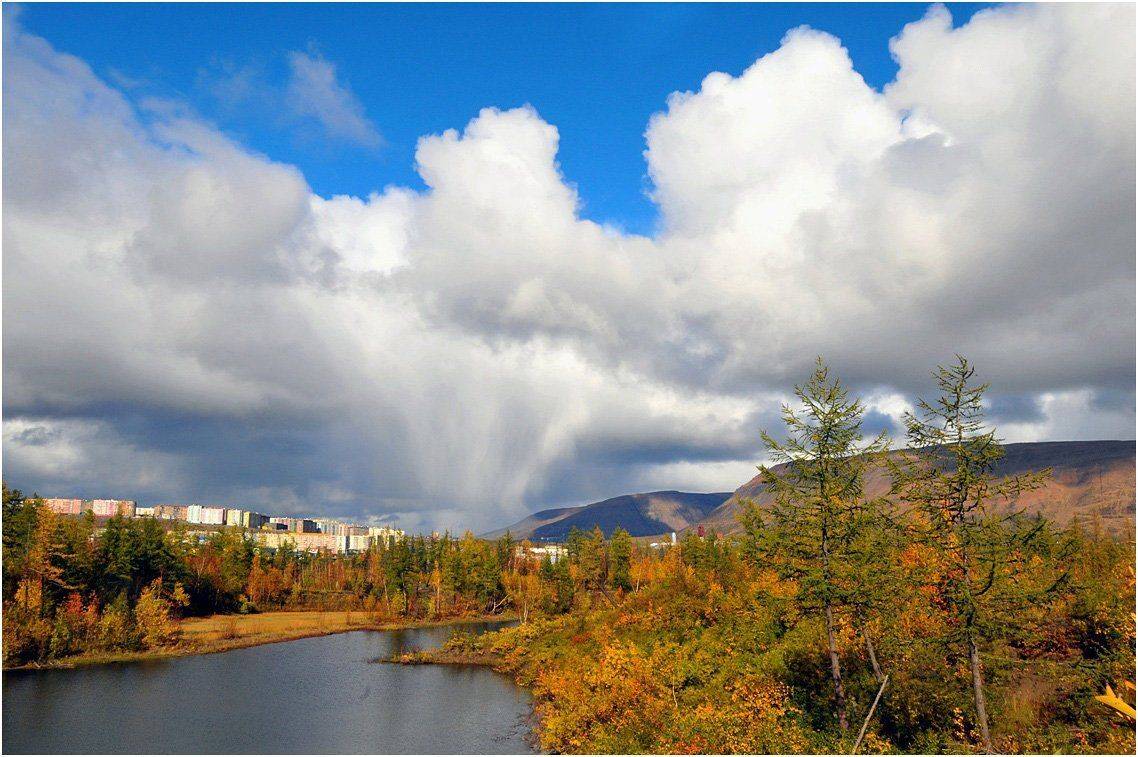 таймыр, Vladimir