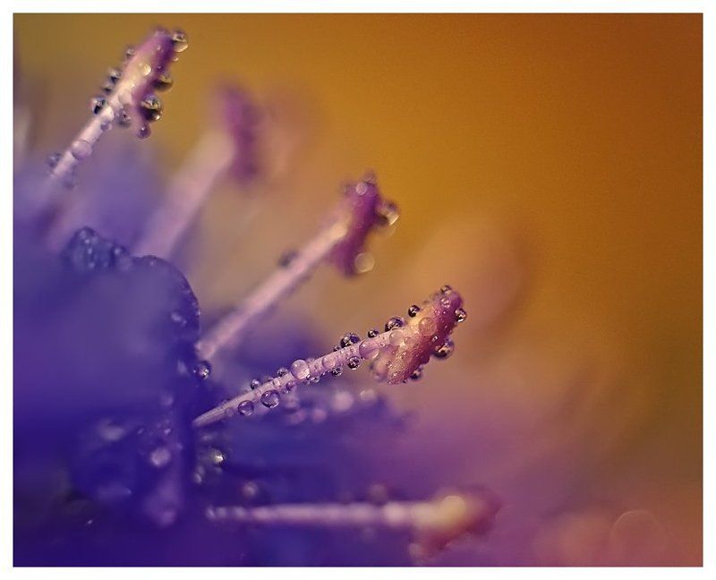 ассоциации фото превью