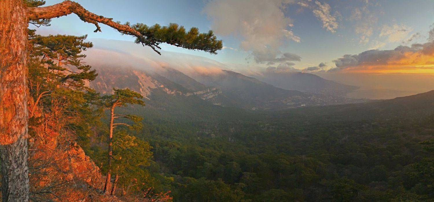 крым, утро, горы, небо. облака, рассвет. свет, деревья, пейзаж, природа,, Сергей Шульга