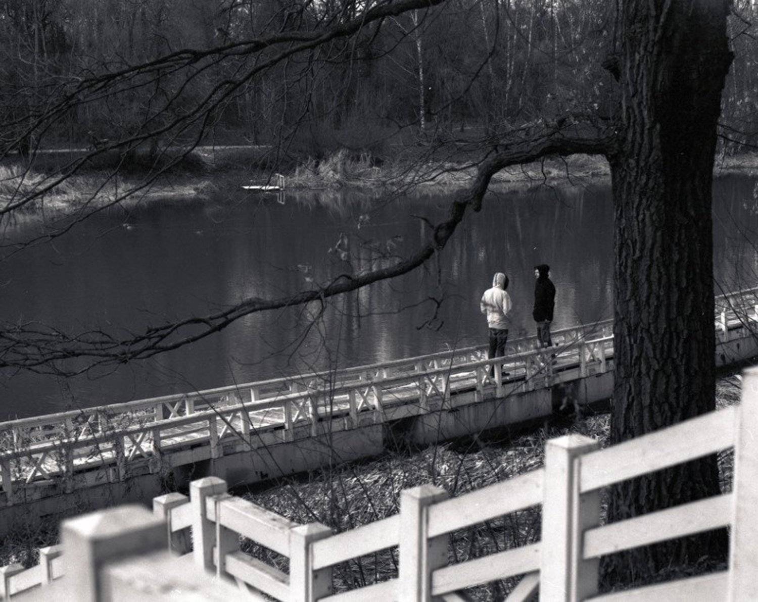 парк.люди.пруд.причал.деревья., Вадим
