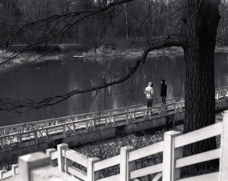 парк.люди.пруд.причал.деревья. Парочка фото превью