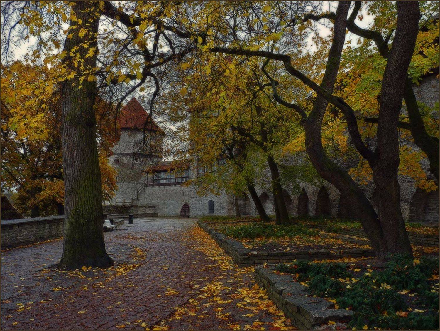 , Ольга Хлуднева