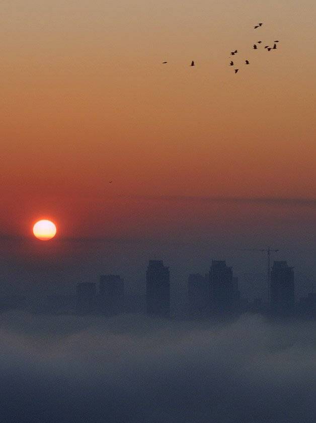 , Александр