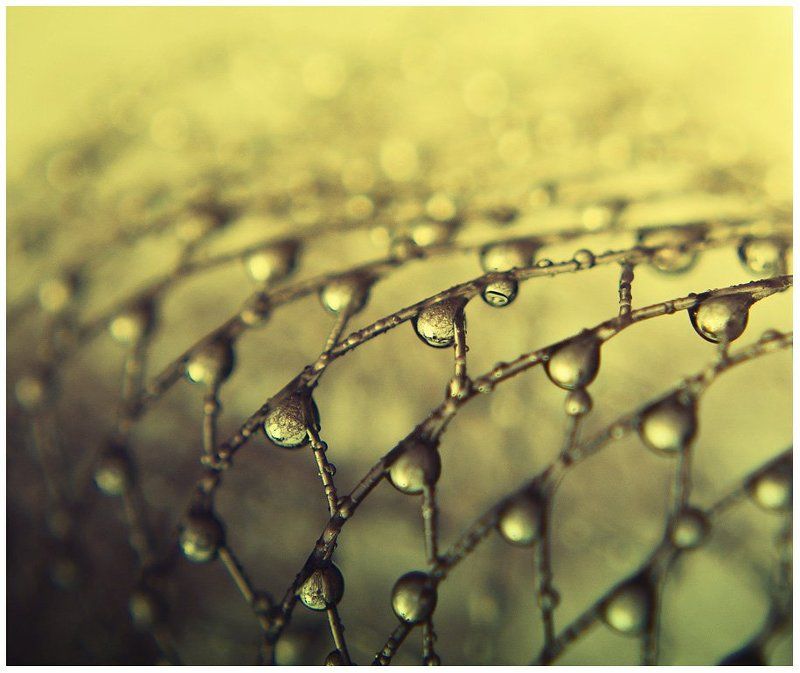 про мочалку фото превью