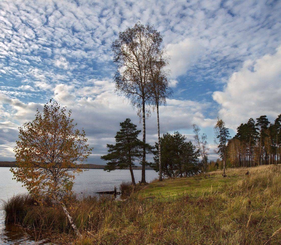 , Игорь Иванов