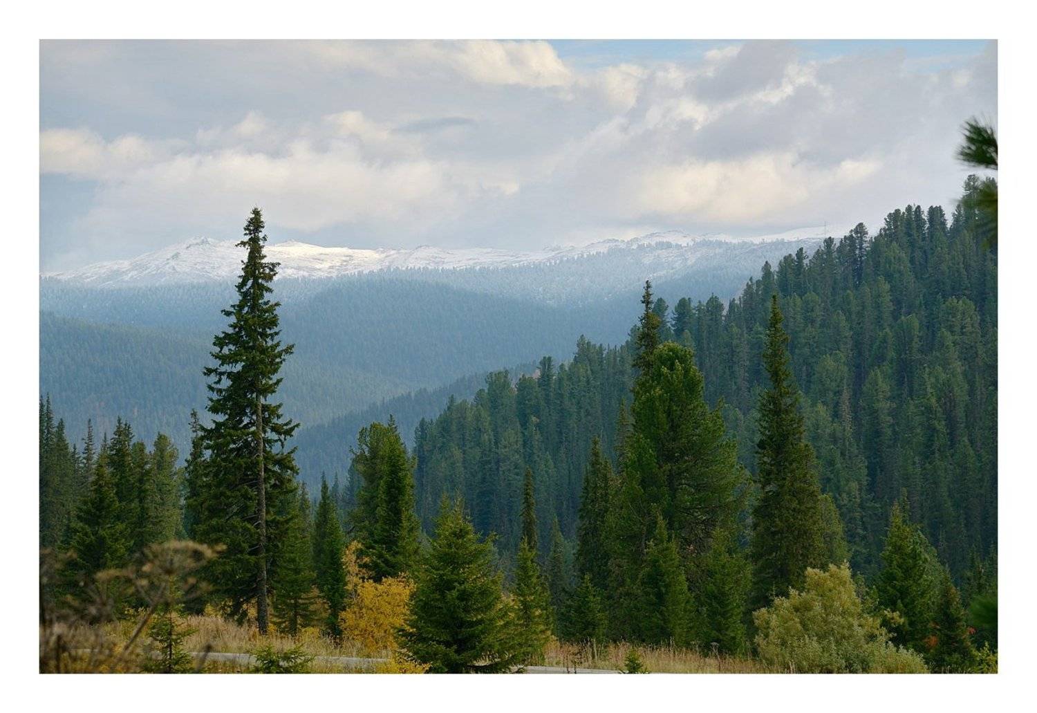 , Евгений strannik521