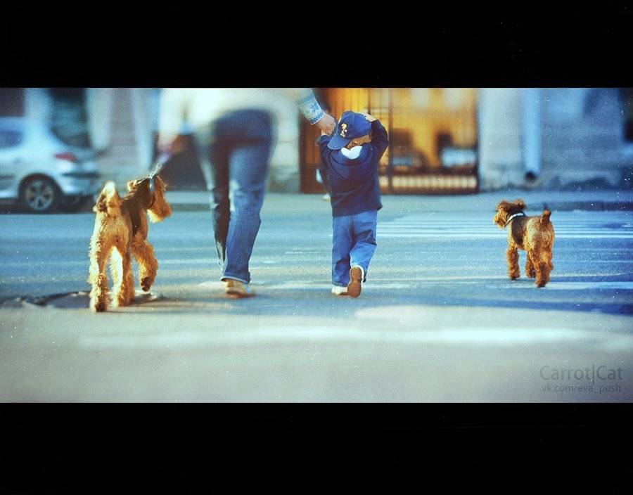 carrotcat, Женя Белан