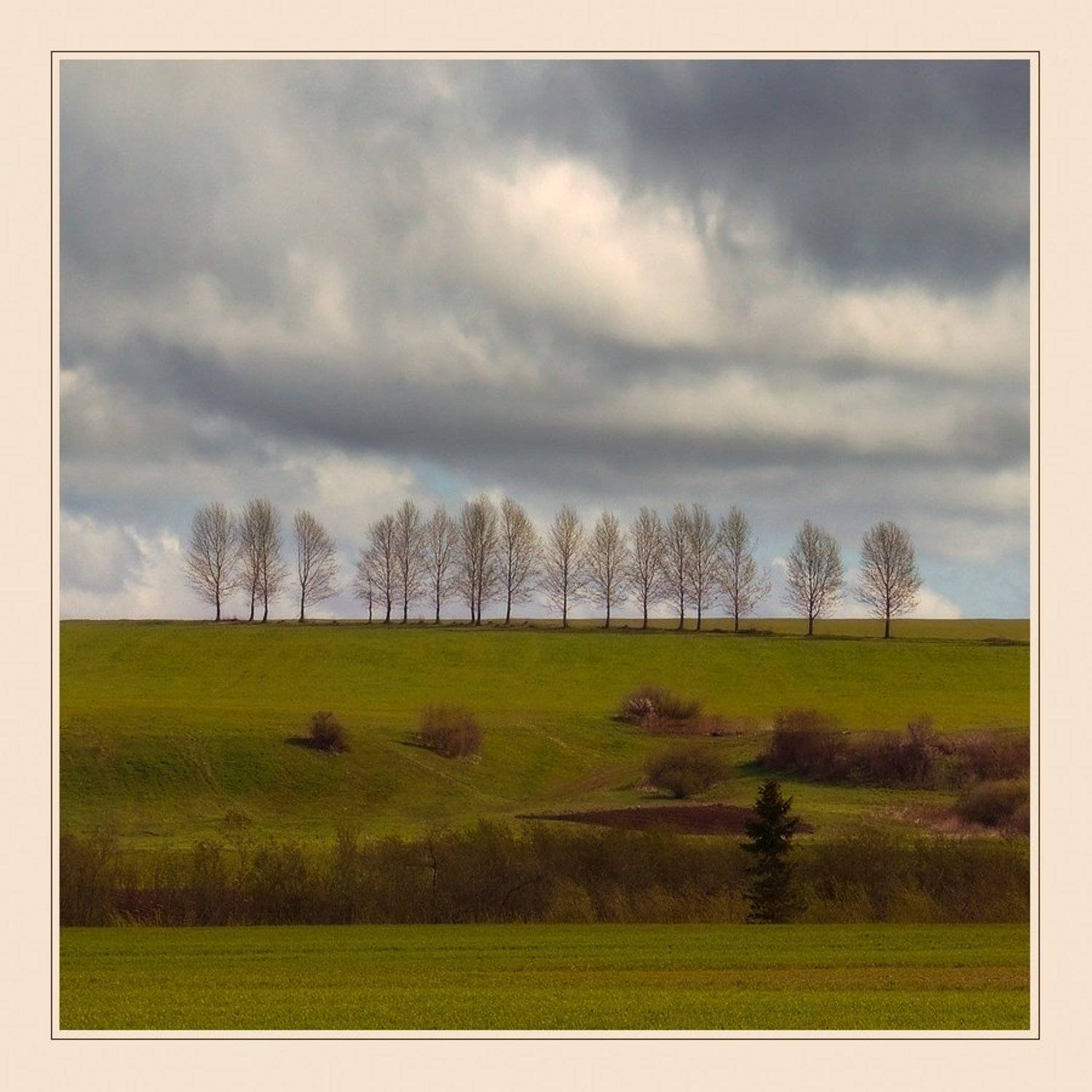 пейзаж, поля, деревья, небо, чехия, Oleg Dmitriev