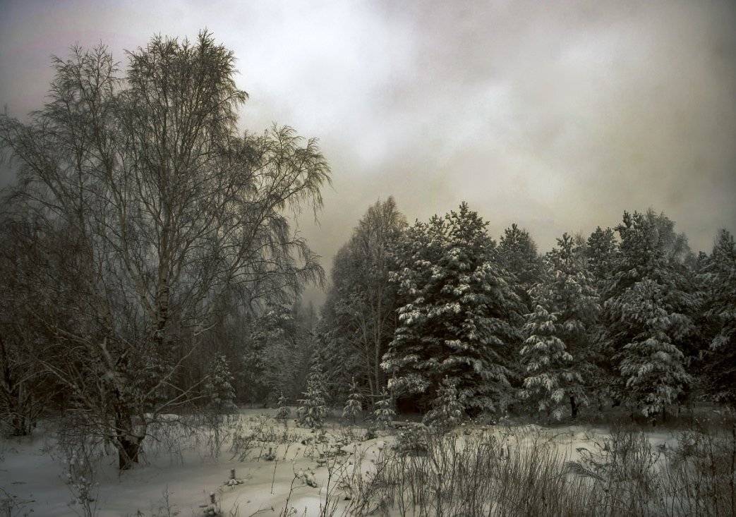 , Потап Кузьмич