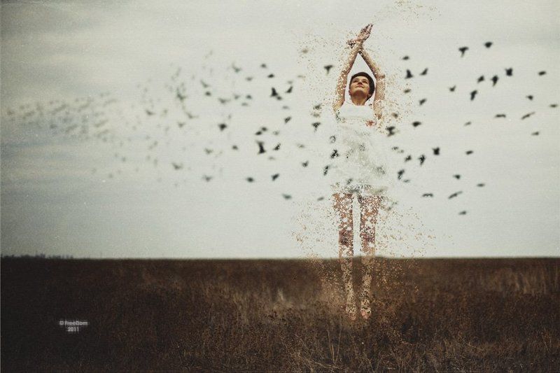 *** фото превью