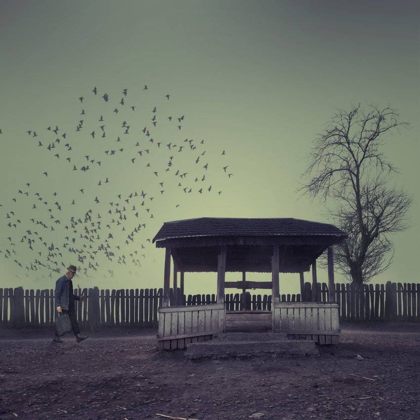 birds, man, walk, tree, fountain, Caras Ionut