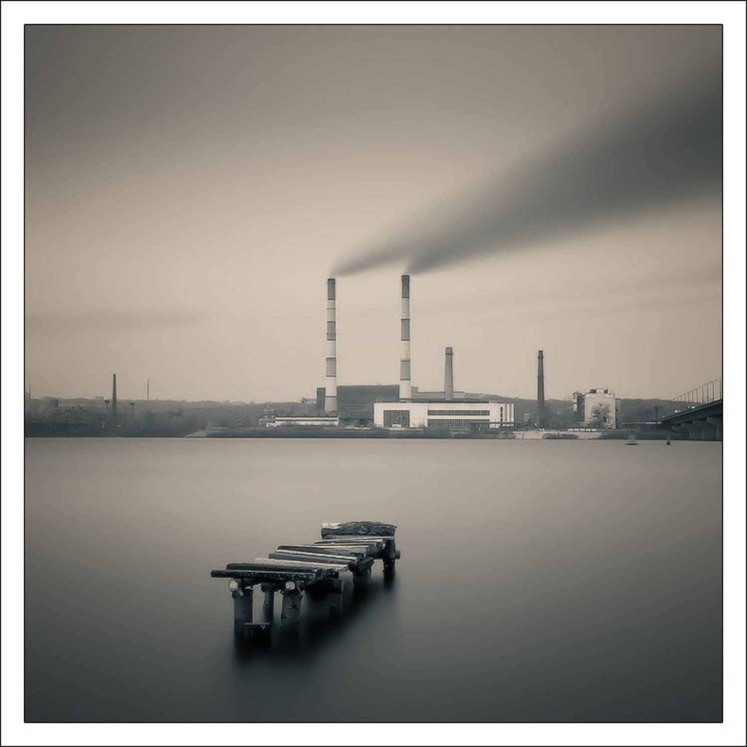 , Денис Кривой