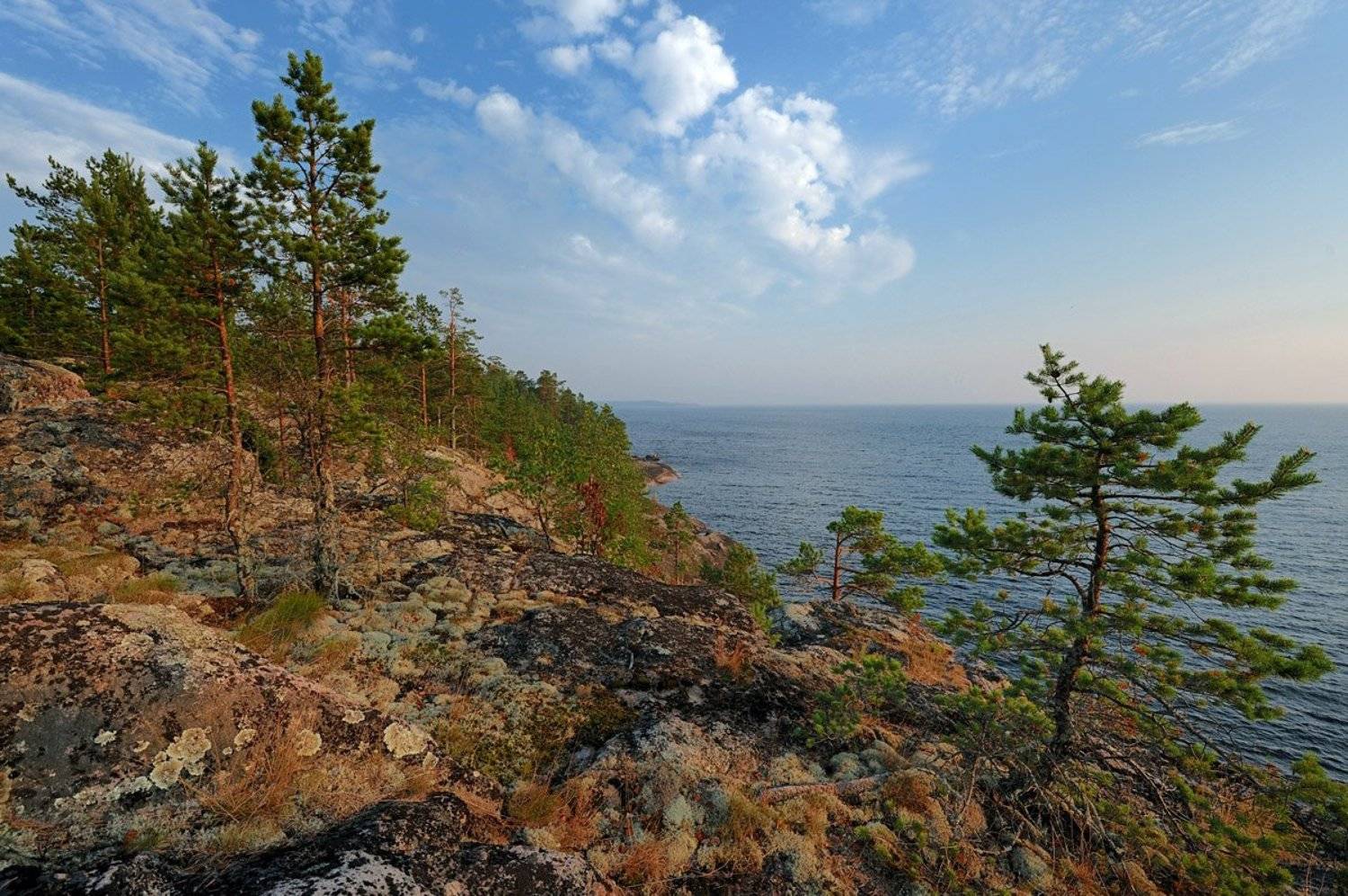 , Сергей Седов