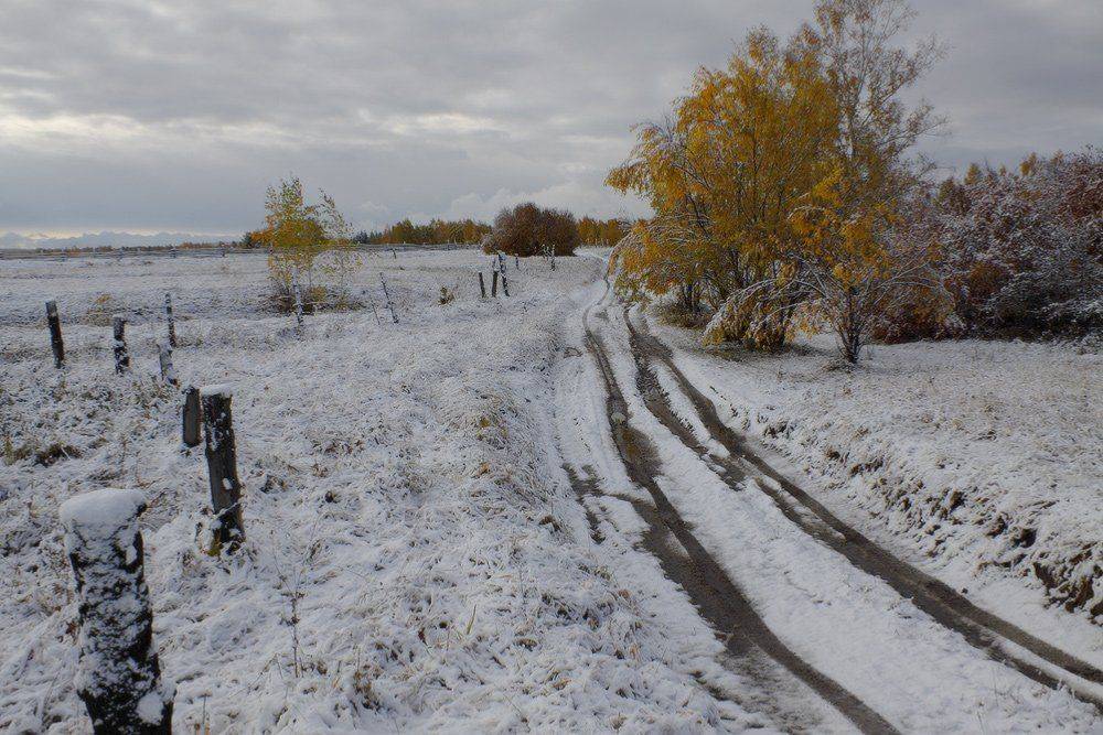 , Николай Морский