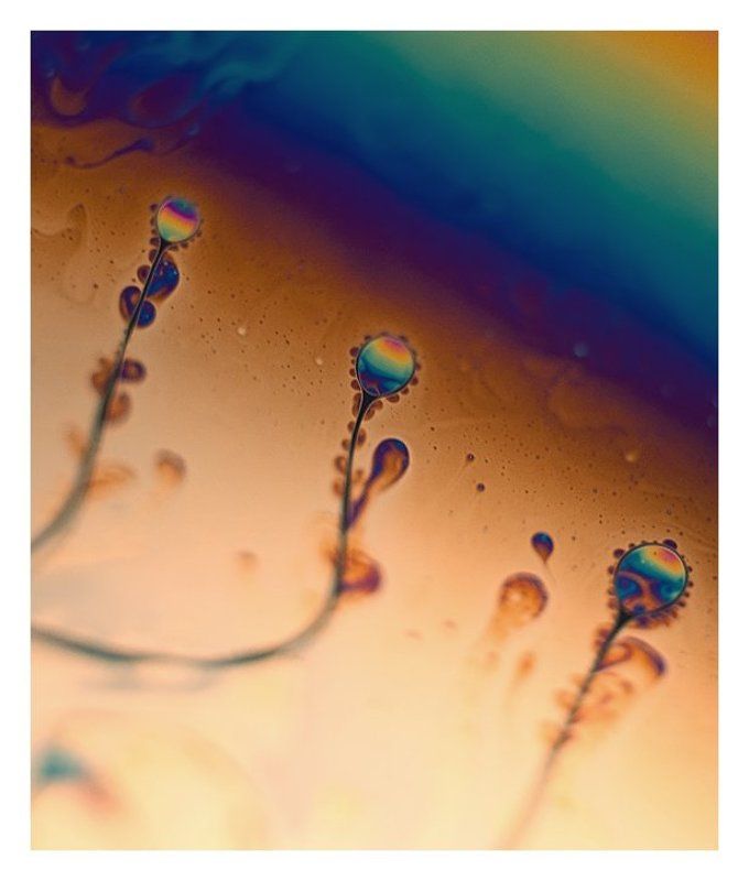 мыльные узоры фото превью