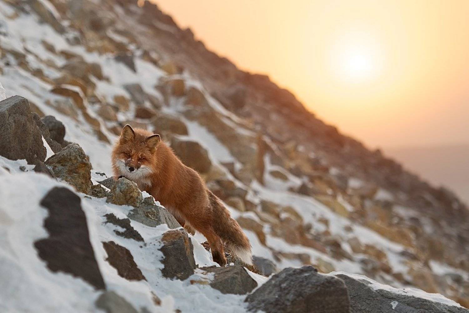 , Иван Кислов