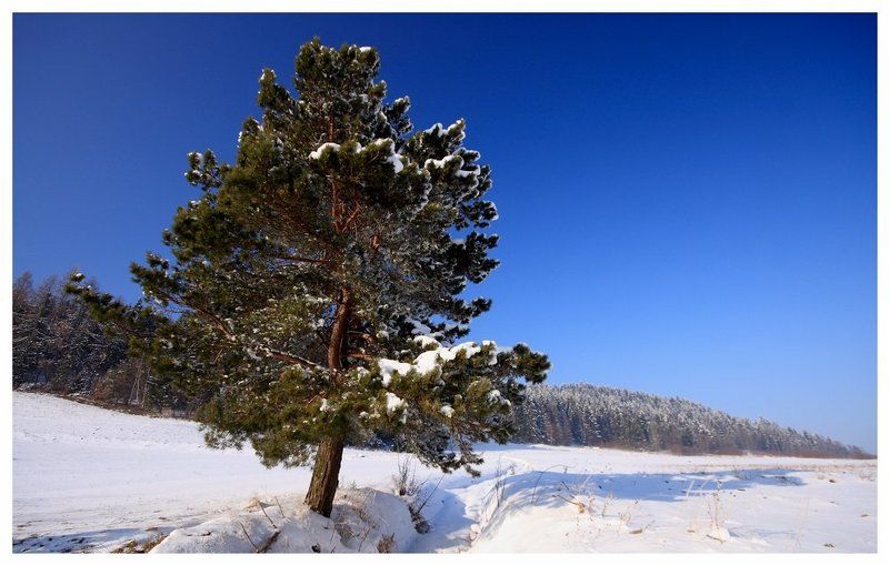 **** фото превью