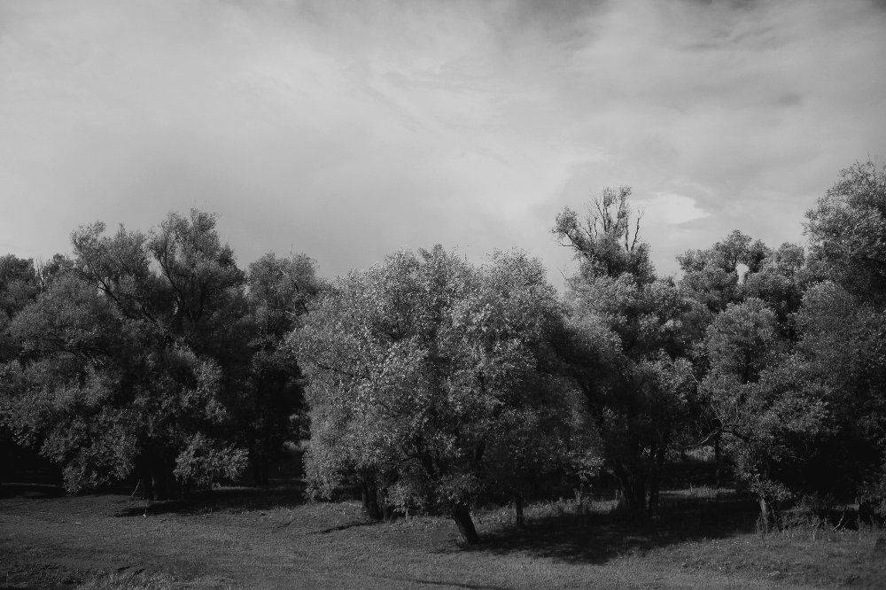 , Максим Филипов