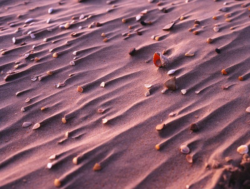 Ракушки и песок фото превью