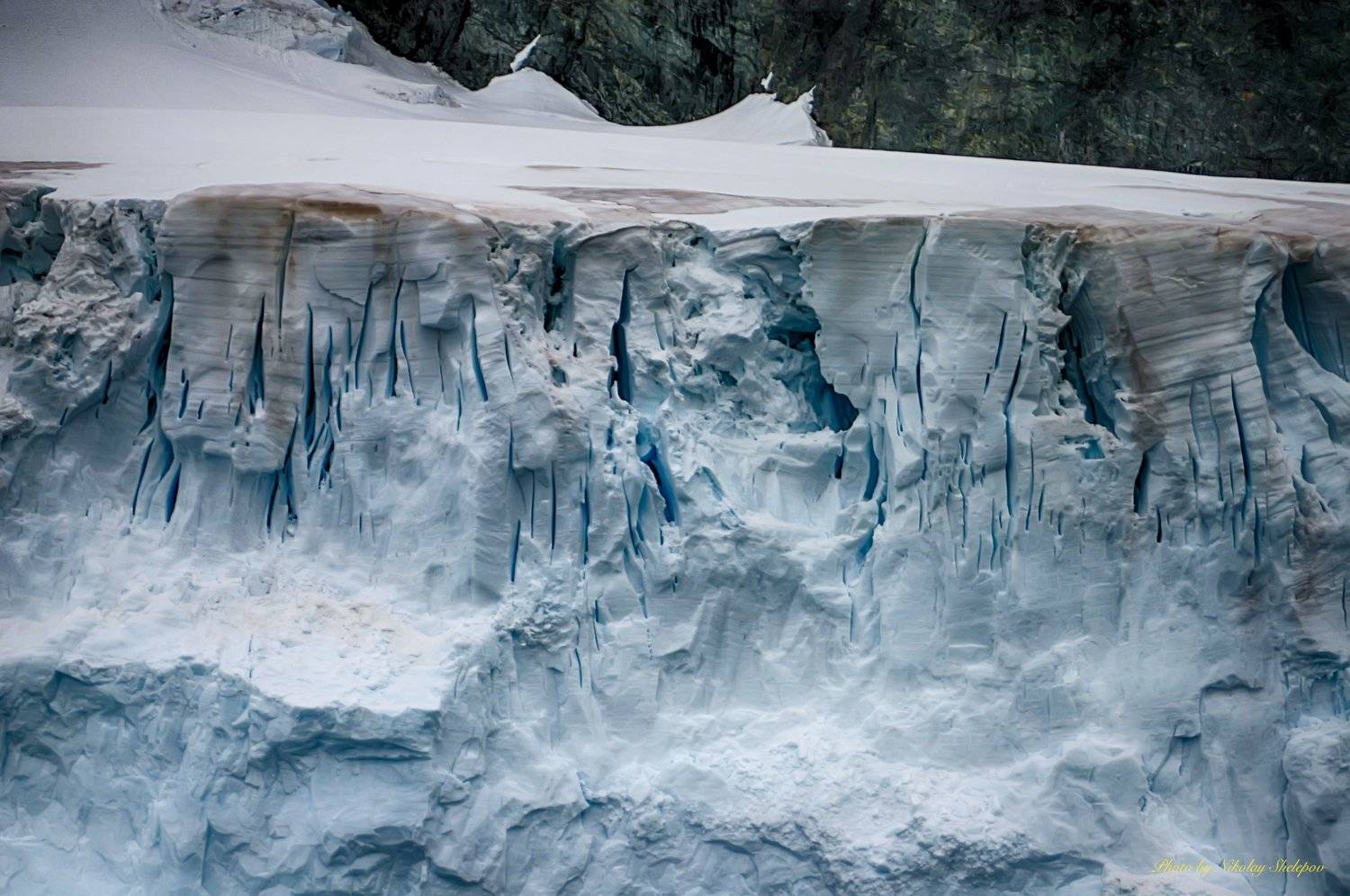 , Николай Шелепов
