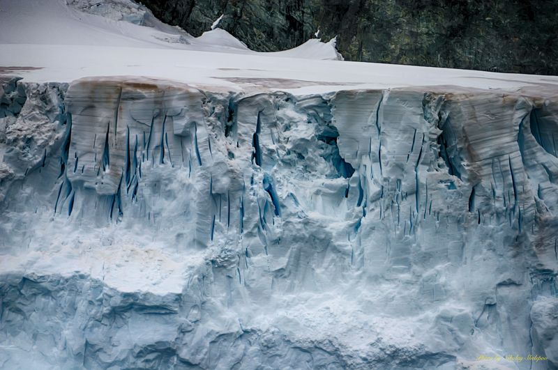 Антарктида 39 фото превью