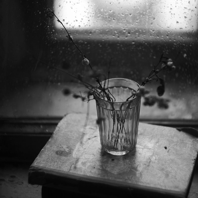 На кухне фото превью