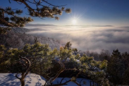 Чергинский