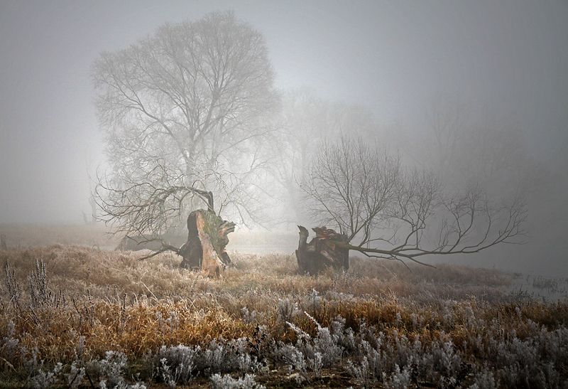 ... фото превью