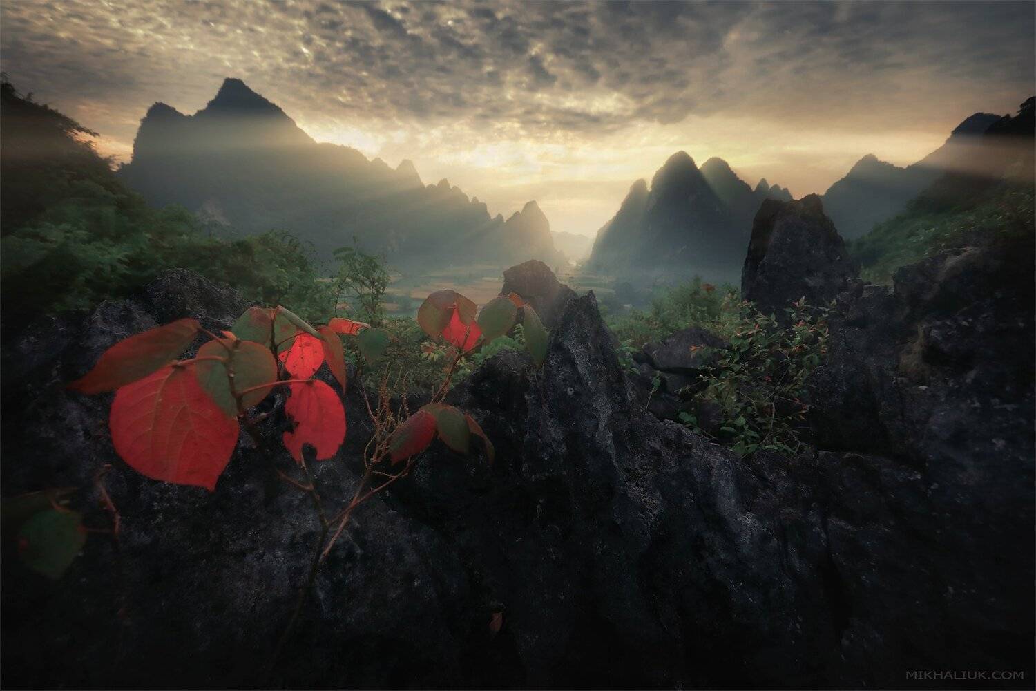 , Михалюк Сергей *